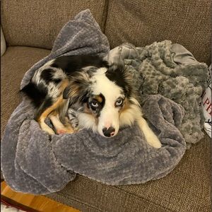 Meet your Posher, Pamela